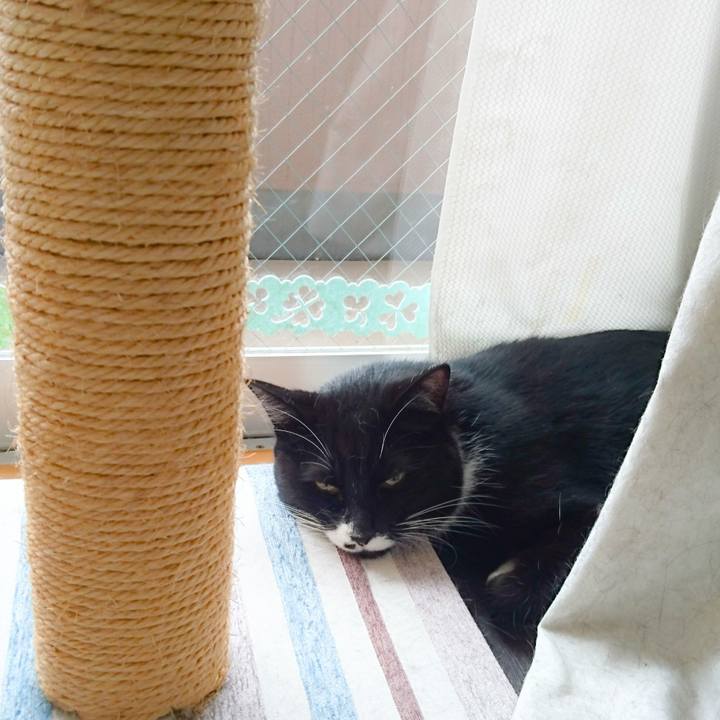 13eb2772 075b 4db6 a50a f623ce1ad5e4