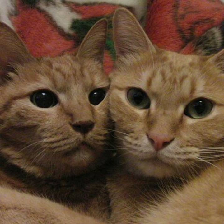 13eb645b 4a9d 44a7 909e f38d8d550755