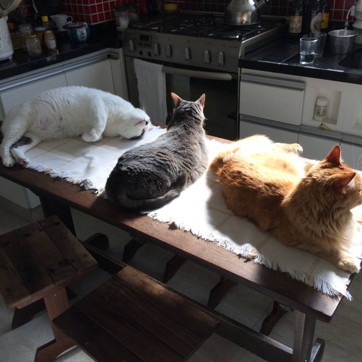 13ebc165 dd3e 48a8 a947 0177be086dcf