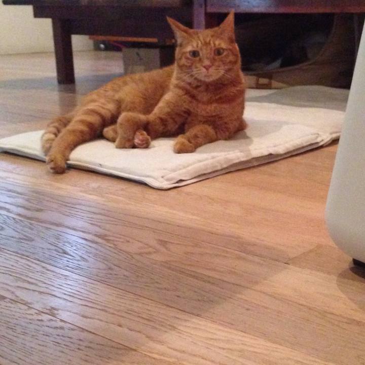 13ebf55e d1ba 4ddf 865f ff1ccb3ee597