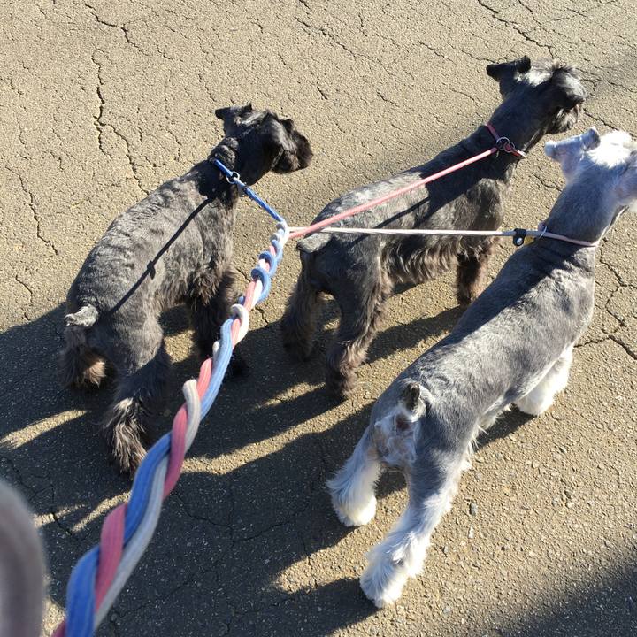 13ec7764 60a5 47bd a114 d94329366ace