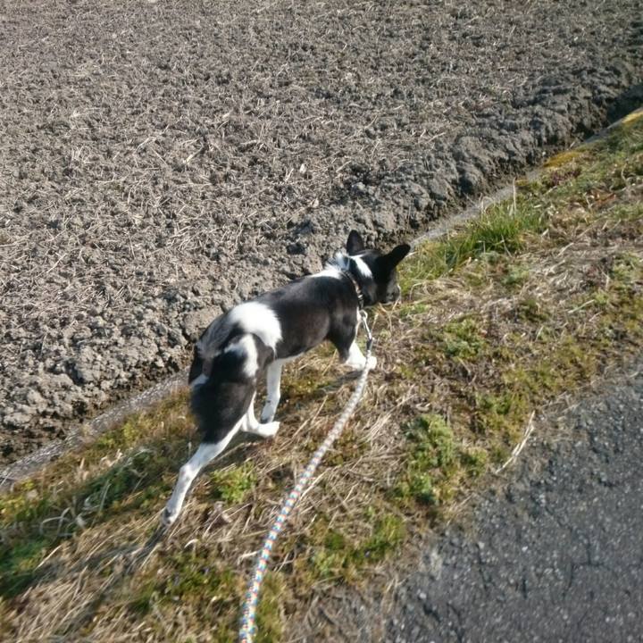 13ed23f4 5146 4537 9647 9f51f1d9d2df