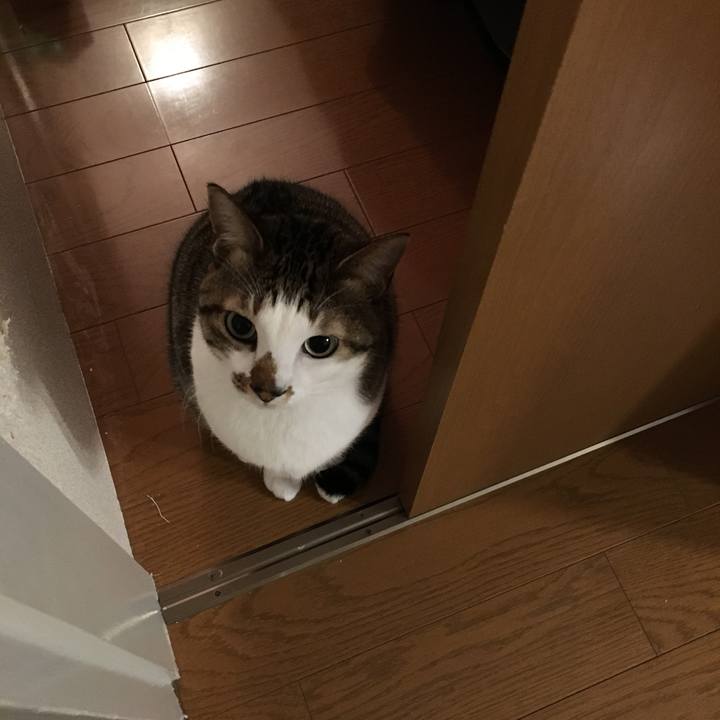 13ed3384 7a23 40b4 99f8 1abe78f67740