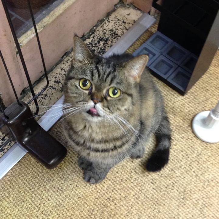 13ed7a41 900a 406f bbd7 4c98eb891fb5