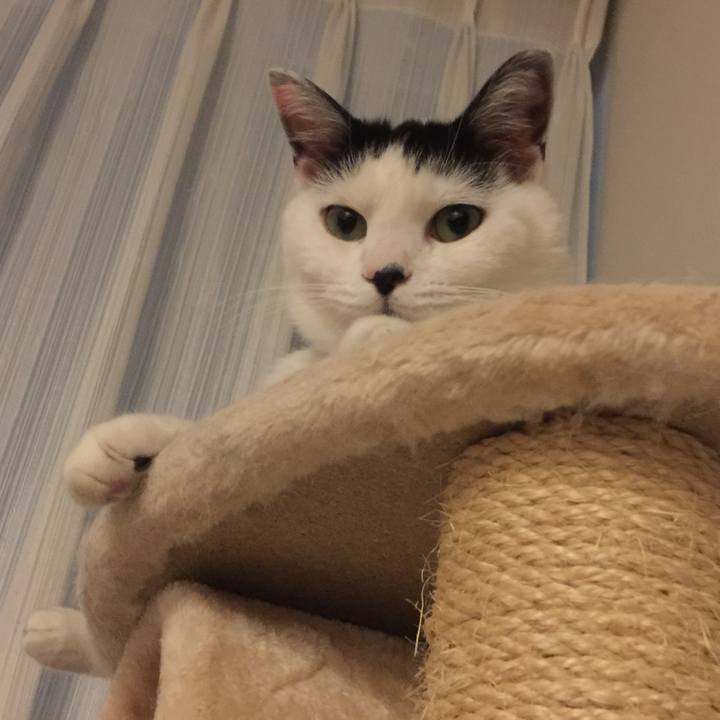 13ede129 c930 4dae ad07 543c3375a84d