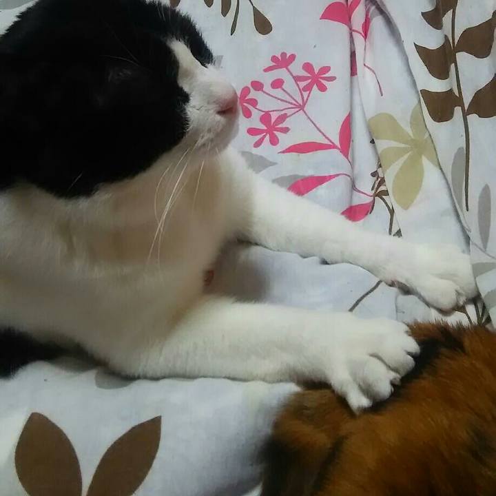 13ee2e25 2fd4 44b0 b669 5167638452bd