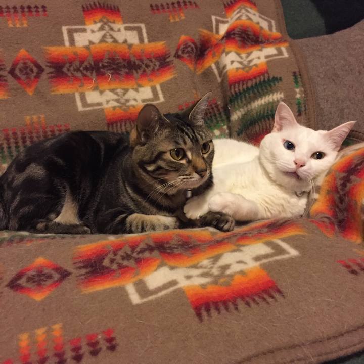 13eec2ef a6bb 4065 b31b 45f2e02b2fa4