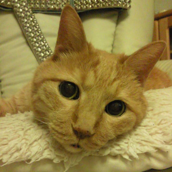 13ef0903 2b37 4c0e a5d0 2068e4021f67