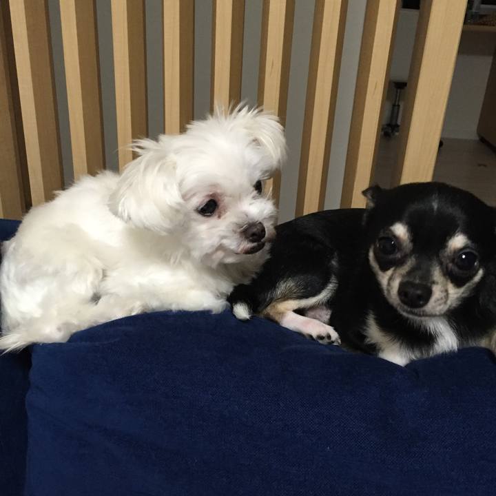 13f0c56e 4cde 4ee4 8cd2 b7c5ec9260e4