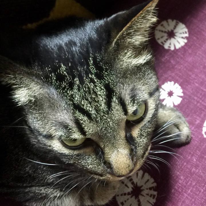 13f12657 7929 4795 b8da 9d510d02a2e7