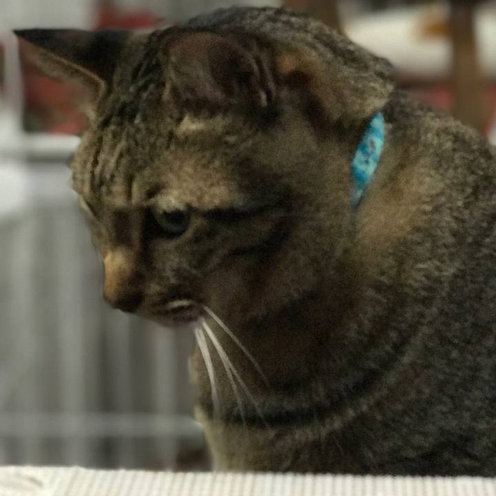 13f13cf1 6931 4c32 b44d ba24a90a2f19