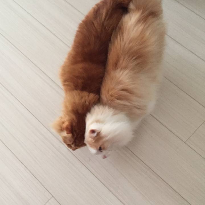 13f16756 d310 4c70 9ff6 033c31c071d5