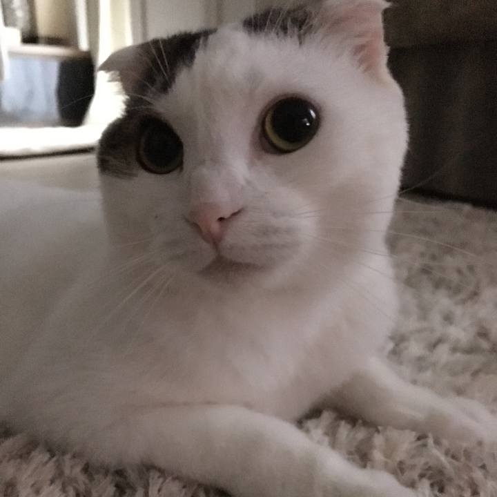 13f185e1 42f4 415d 8cd8 825ee3209361