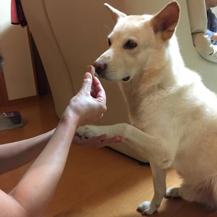 13f19826 d805 4583 b6e1 5ca351fef6d2