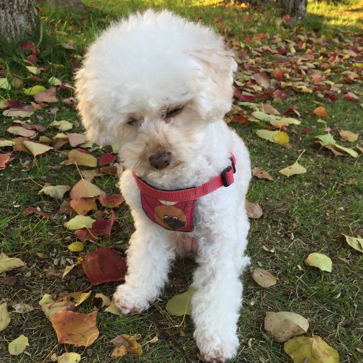 13f29d11 5dc0 4ce6 95d4 71139363031b