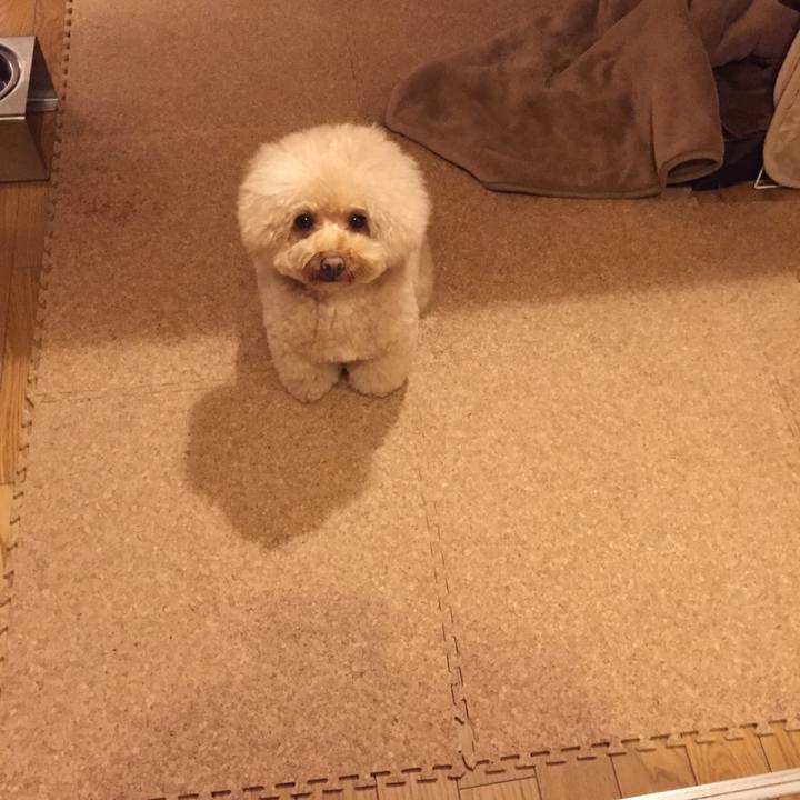 13f2e692 4bc5 48f4 97ea b68c81785631