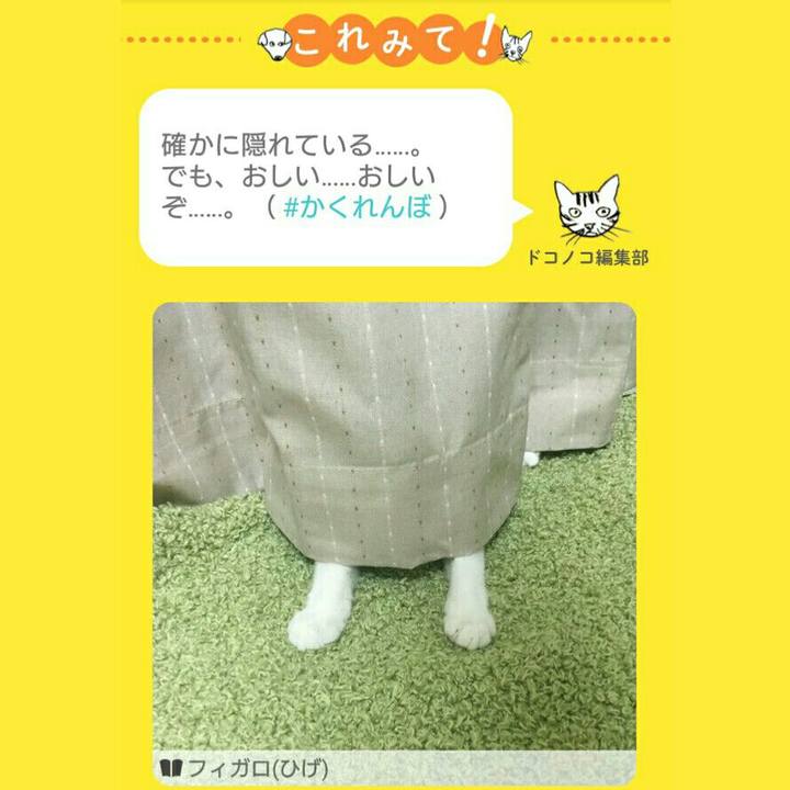 13f38795 d134 48a1 857e d2ca26569d43