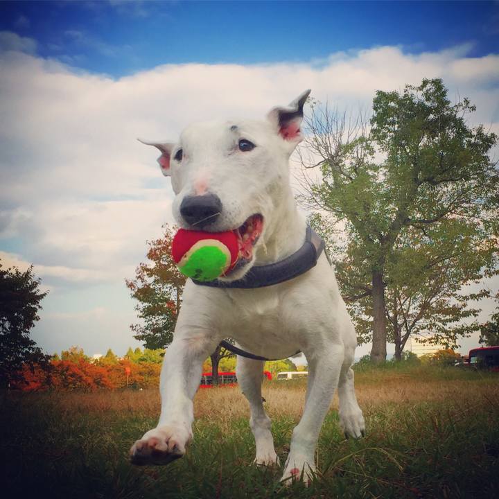 13f3f4cb f76f 4bb3 ab58 857b66406607