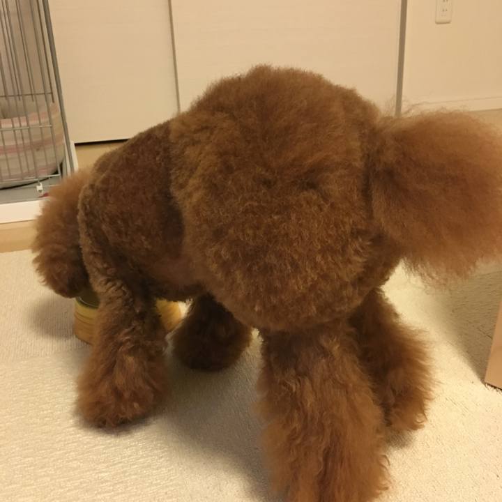 13f4972c 61ff 4051 b2da 50e452f756e4