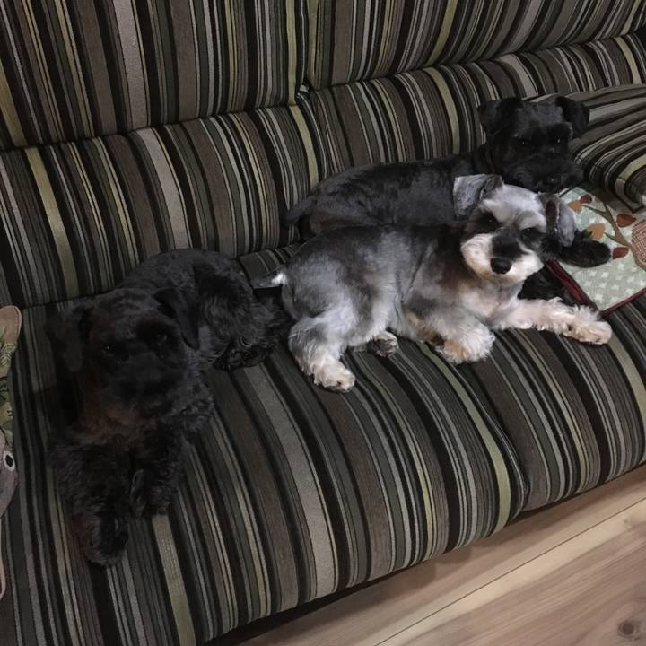 13f4aa36 7850 4000 a587 b1ae43121d9b