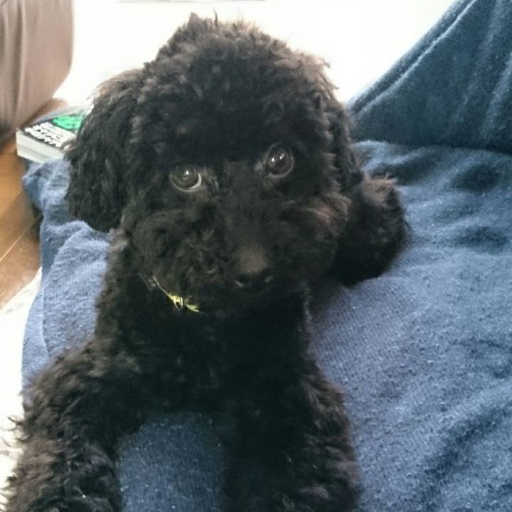 13f4e365 7288 442c ad7a 4c019ee55e3a