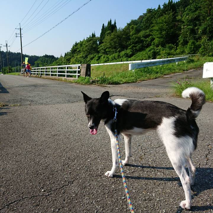 13f5a9d8 791b 4da4 a227 7c79b3bddc5c