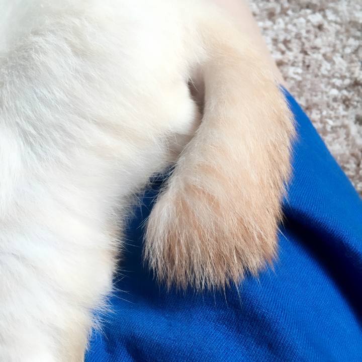 13f5e15f 8c89 41f1 9aeb fede30999b31