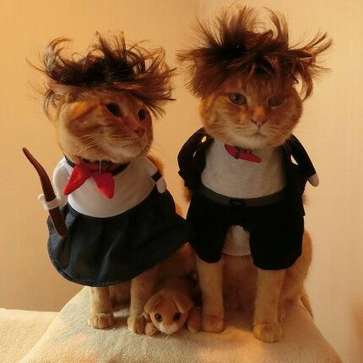 13f6948d fdc2 406d 9be6 deb2e6f1c94c