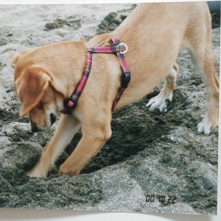 13f69684 502c 40d0 b767 e3520d47ac18