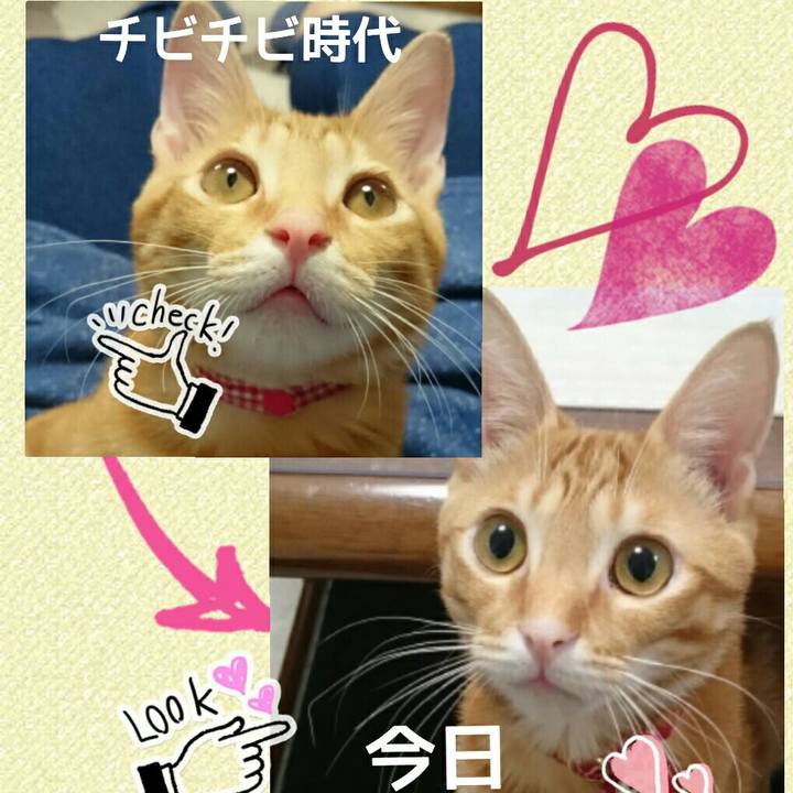 13f6e649 a079 47e9 a84b c856e0e0d9b7