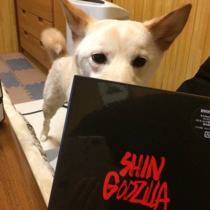 13f756bc 25d4 4ee2 b77b ee49f2cd525a