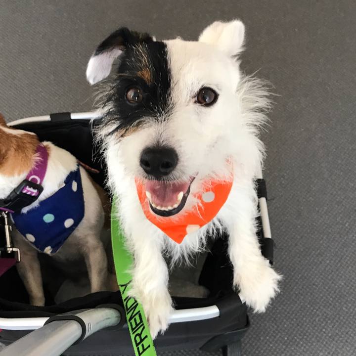 13f76a2f 7e83 4baf 973c e52c185b63c2