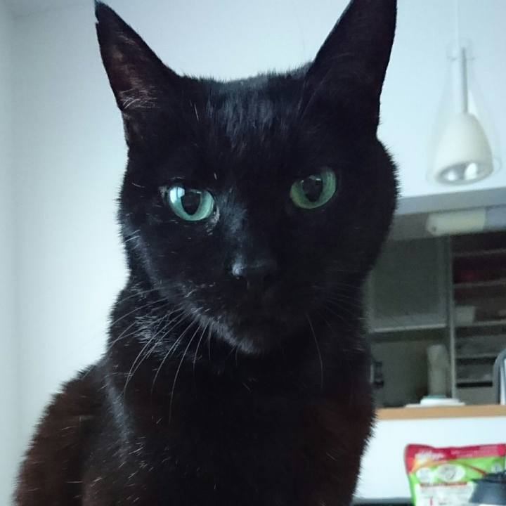 13f76a98 9778 4f4c b7c9 0f6cc752f44b