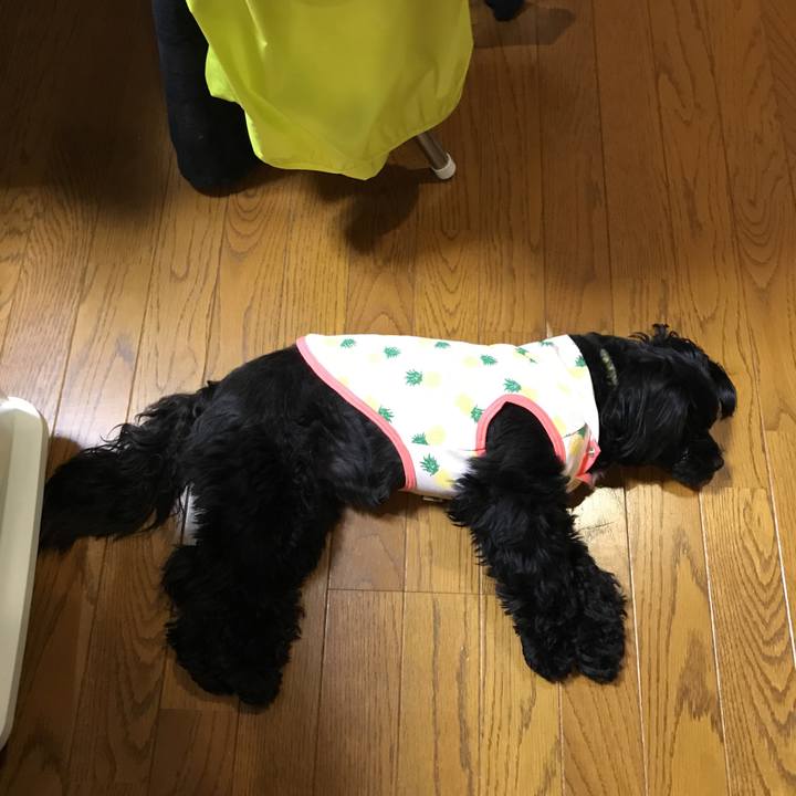 13f7b76a 5ada 4b43 8906 30aa60720293