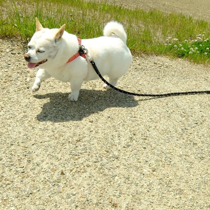 13f84478 bcf9 4544 9c18 27192a376e4c