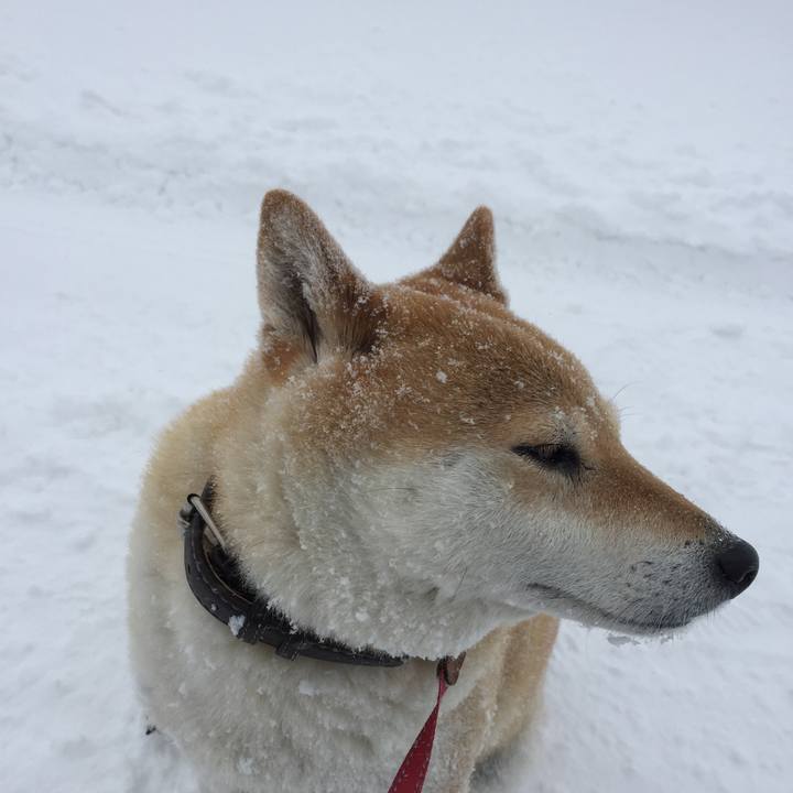 13f88124 f389 460f a58f ecd1509ea804