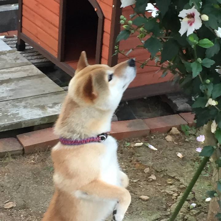 13f897ec c790 4a95 afb1 f26ebcdfc5f7