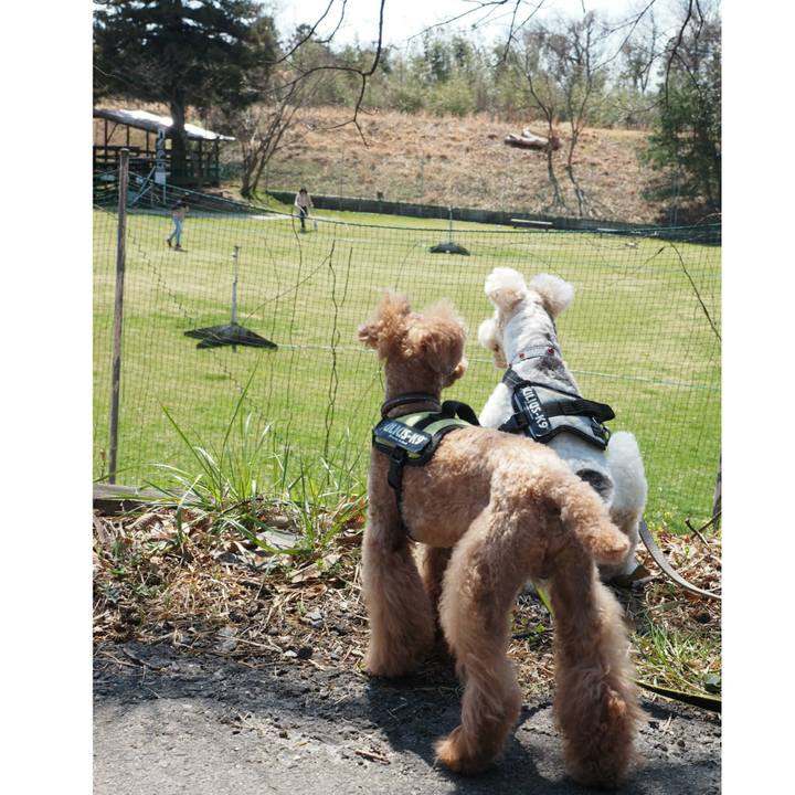 13f8f835 5572 4295 8dab 6780cb624d78