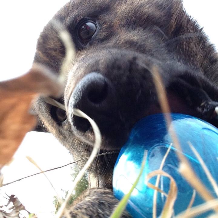 13f93b85 22fe 4cf0 8ef3 2c881eeb39e4