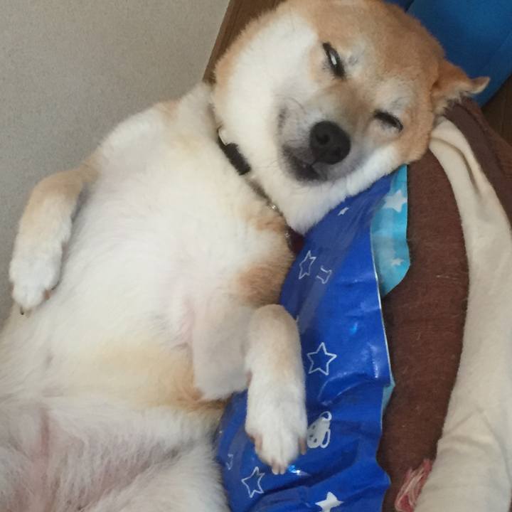 13f98642 c448 4b80 8274 e277f499b7d9