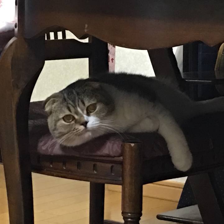 13f9a9f0 0f21 4845 96b1 752a267ebde4