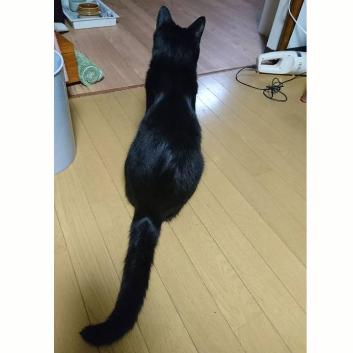 13f9d09b 6b8c 4c9b 8def 650d357e8d9a