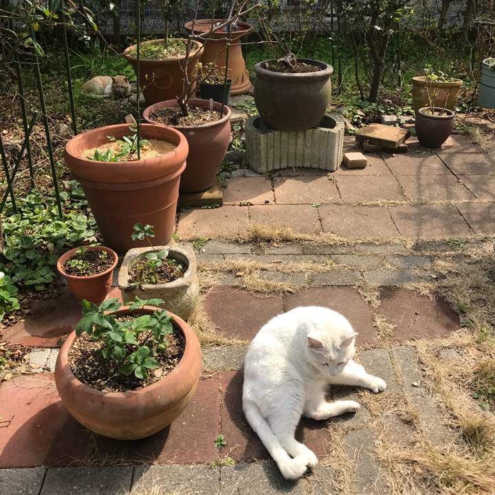 13f9e4a9 3ceb 40d7 a700 0297aeb69d07