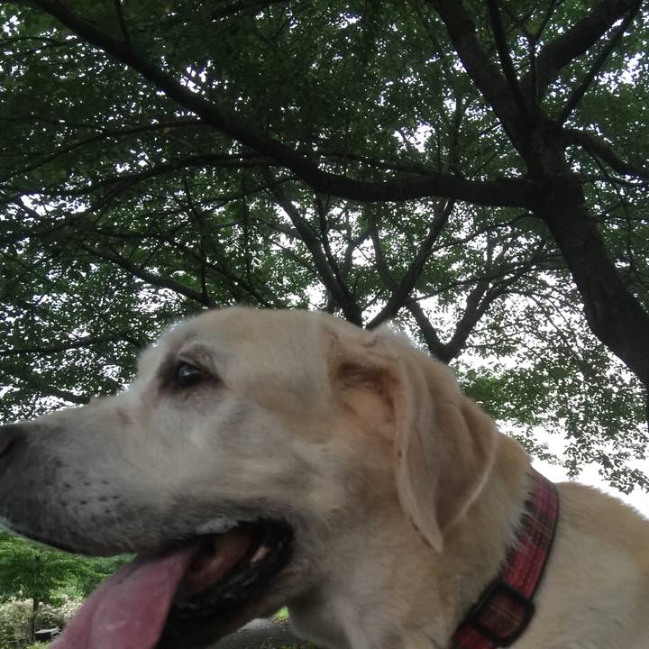 13fa14ce cc0a 4fcc 8e06 cdd2f212df66