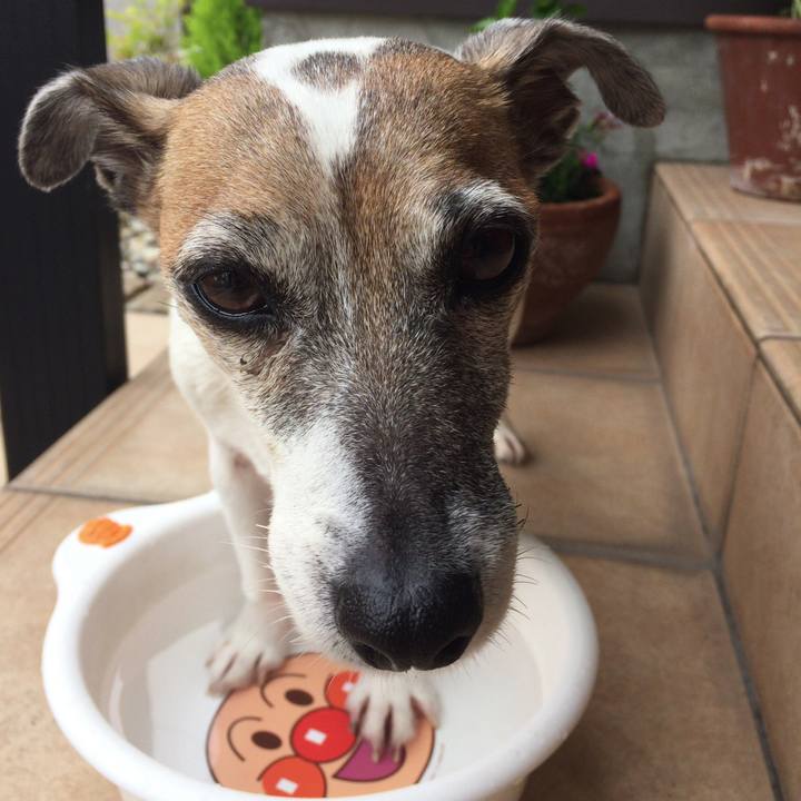 13fa255a 09e9 42d4 ae73 51a83c7cc51a