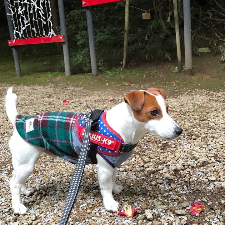 13fa59f8 4721 4b46 87a9 0d8f1cd3d527