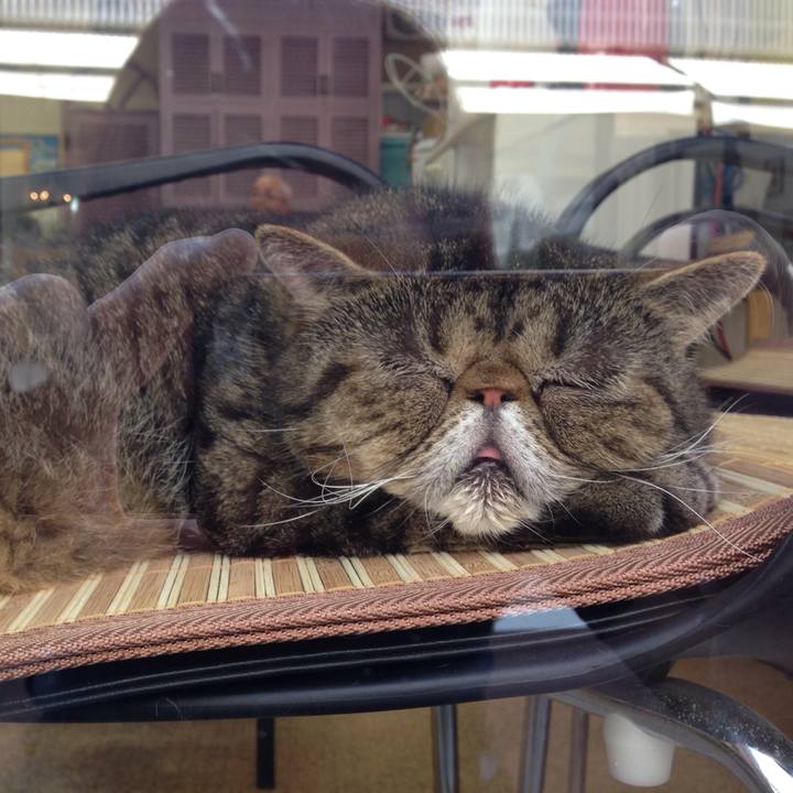 13fabe1b d972 415d 95fb 834c5eef5074