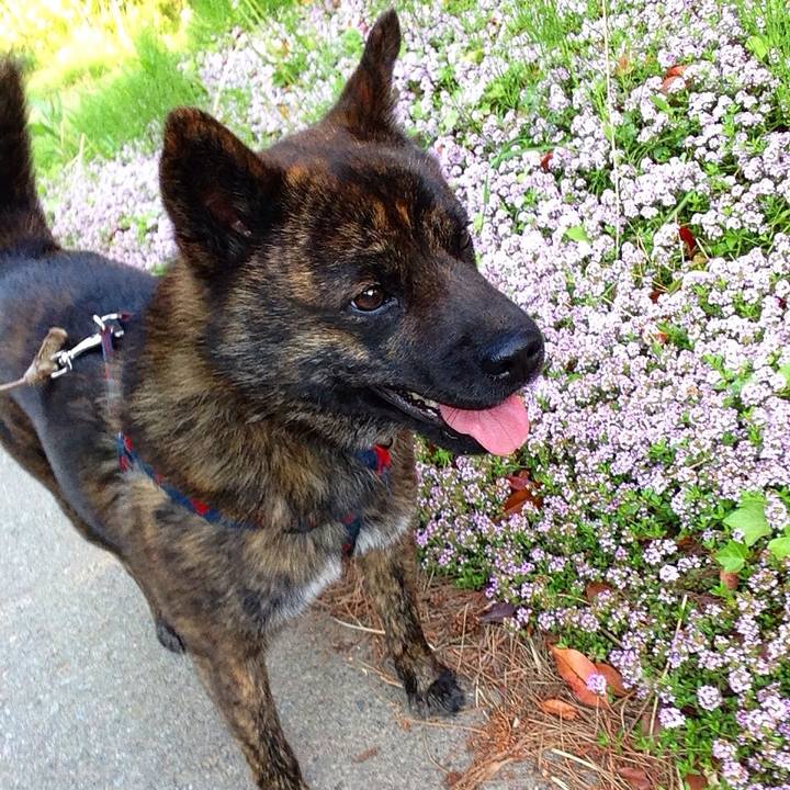 13fb661c da48 4184 ab26 01dd09423910