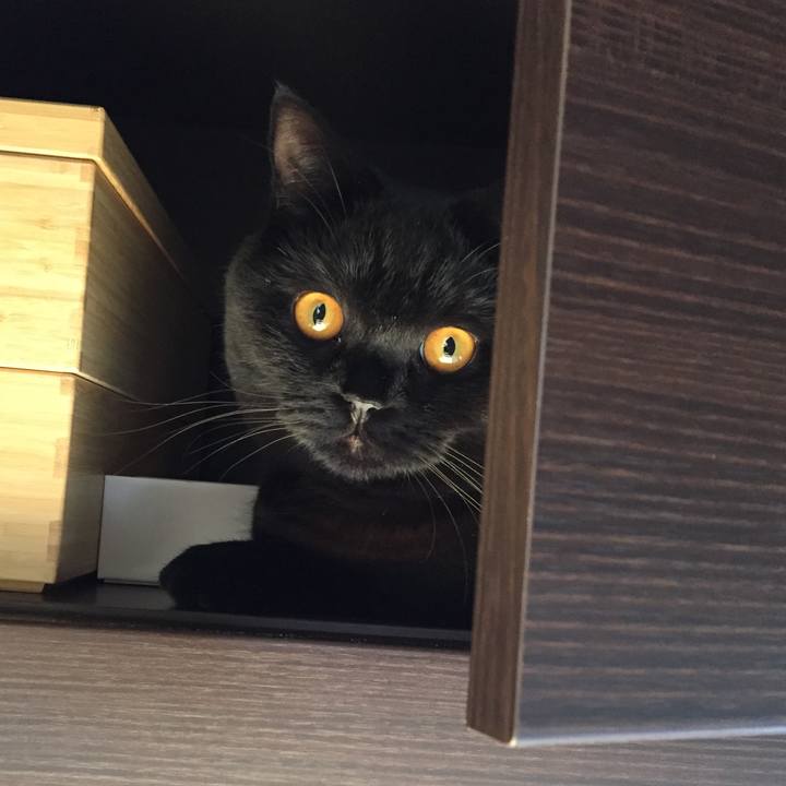 13fc4fc9 693a 45b7 b33b 3e45205bd349