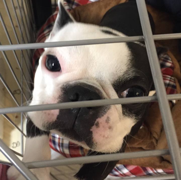 13fcc663 5c39 404e 8071 de5cc79d744f